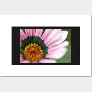 Gazania Heart Macro Posters and Art